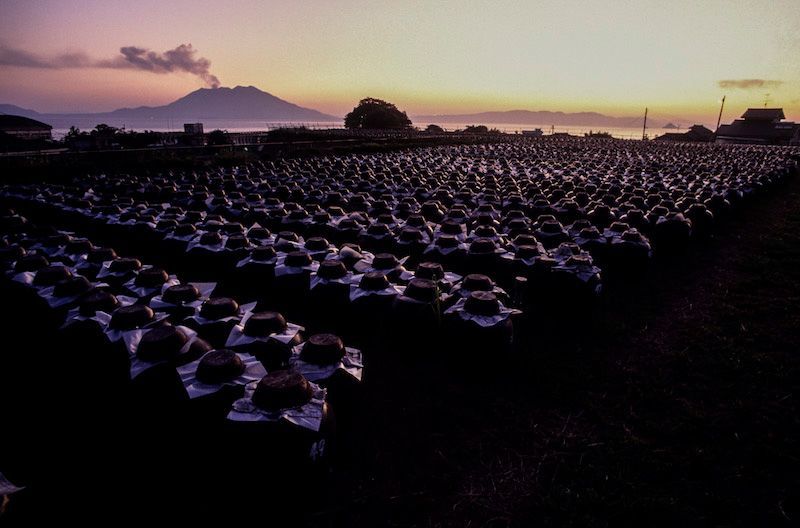 fukushima-kurozu fukushima-kurozu